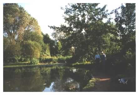 View over pond to woods